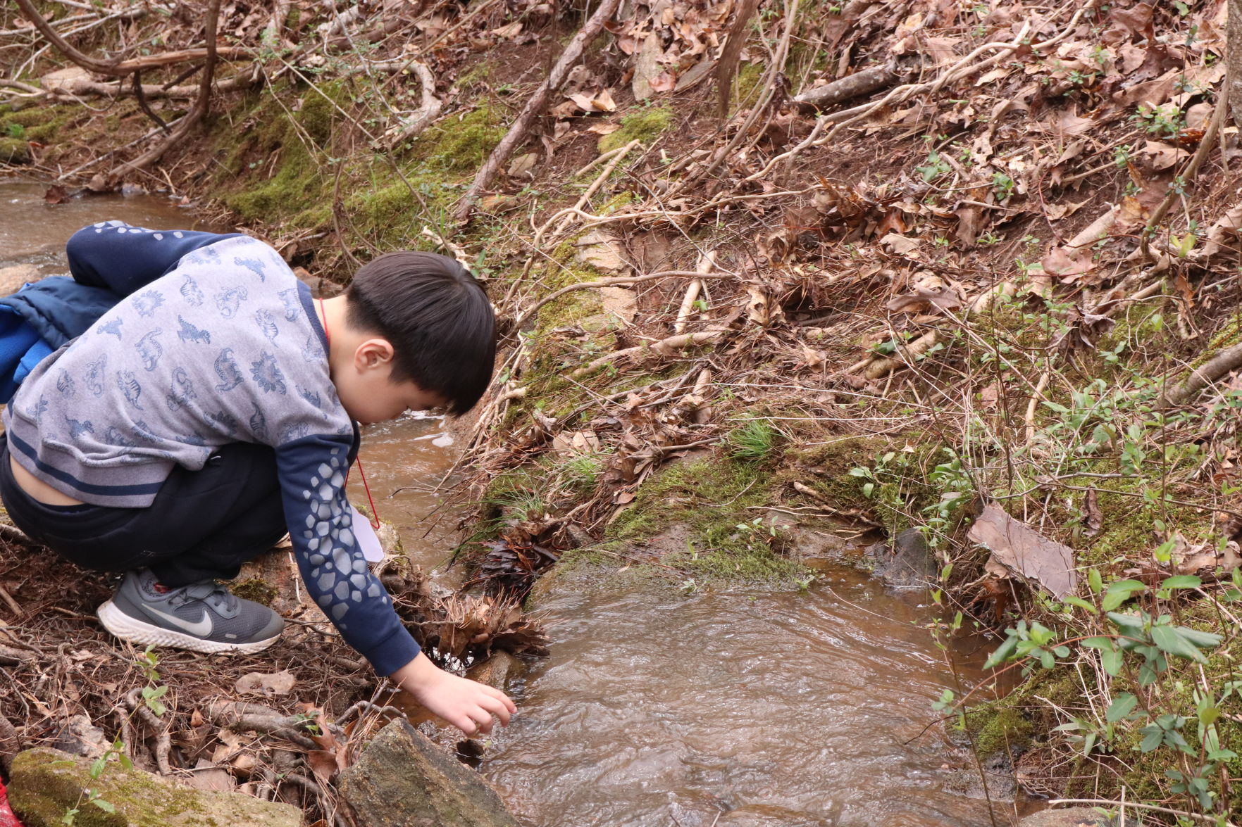 Kreher Preserve Spring Break Camp